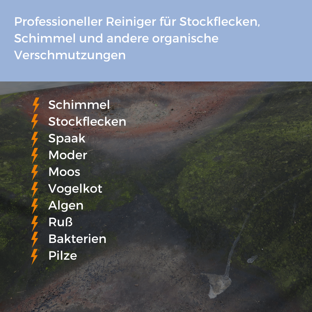 Schimmalgin Spezial Schimmelentferner 5 L