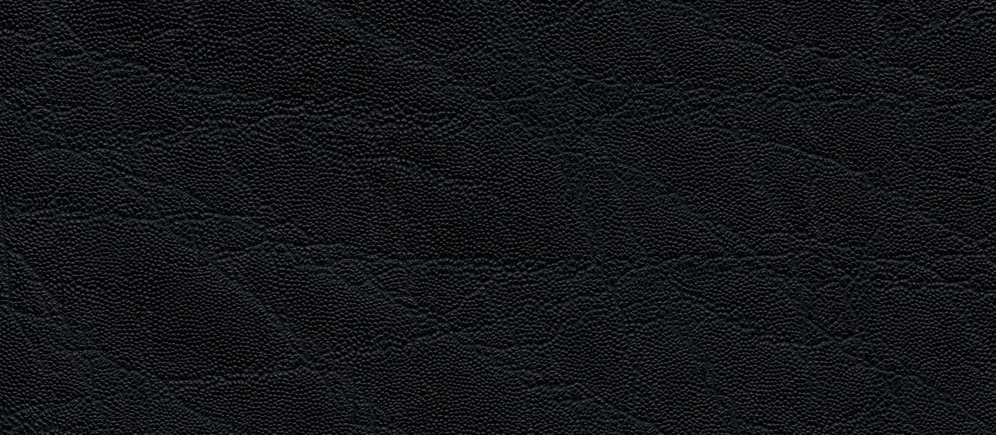 skai® Plata schwarz F6410811 Kunstleder Meterware