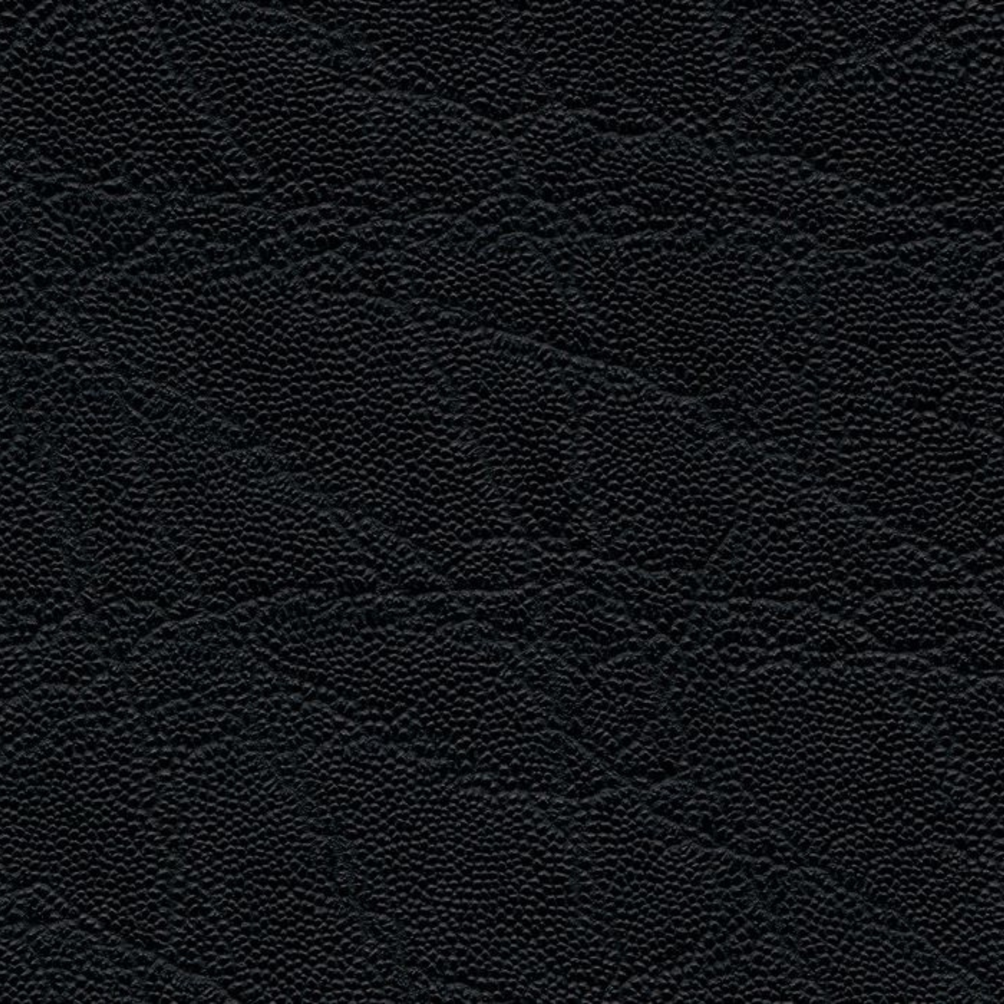 skai® Plata schwarz F6410811 Kunstleder Meterware