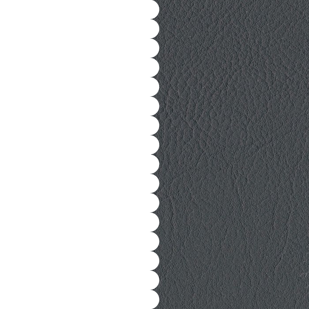 skai® Evida anthracite F6800031