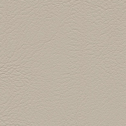 skai® Evida birch F6800041