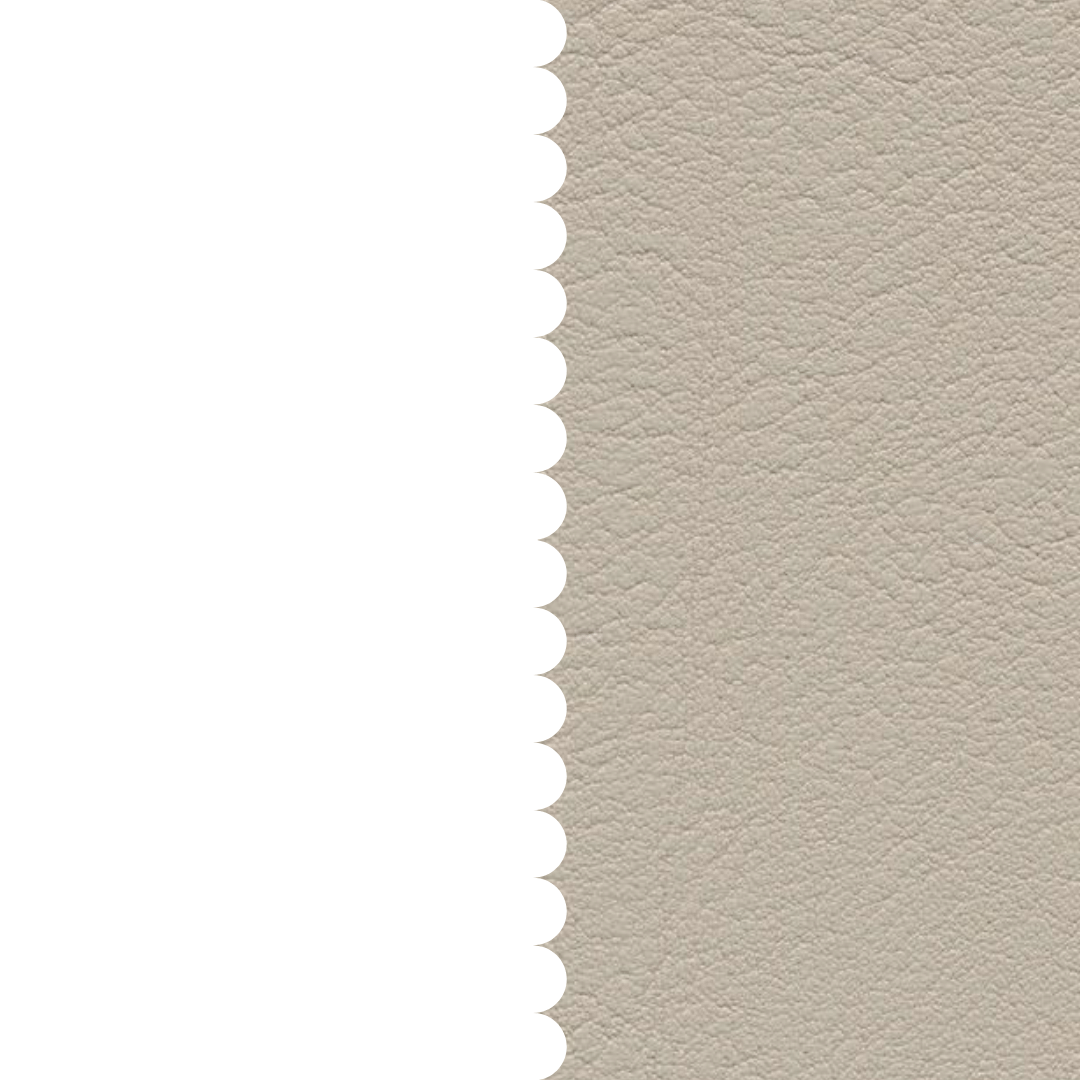 skai® Evida birch F6800041