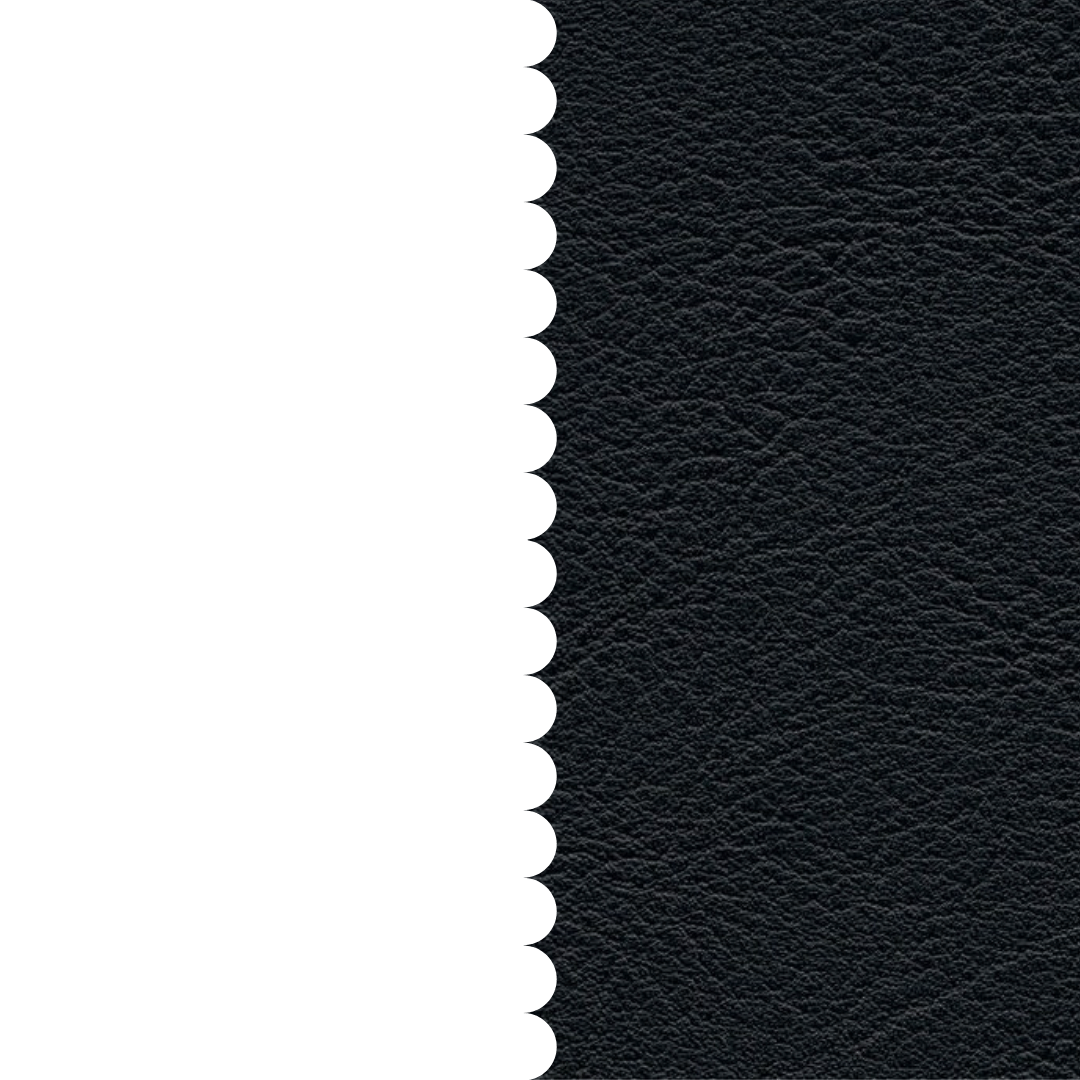 skai® Evida black F6800032