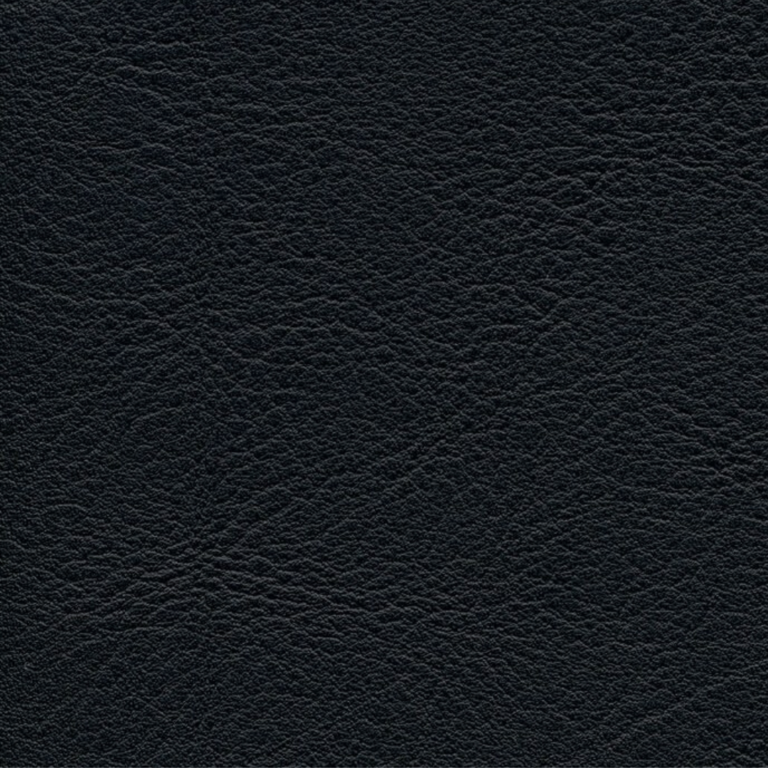 skai® Evida black F6800032