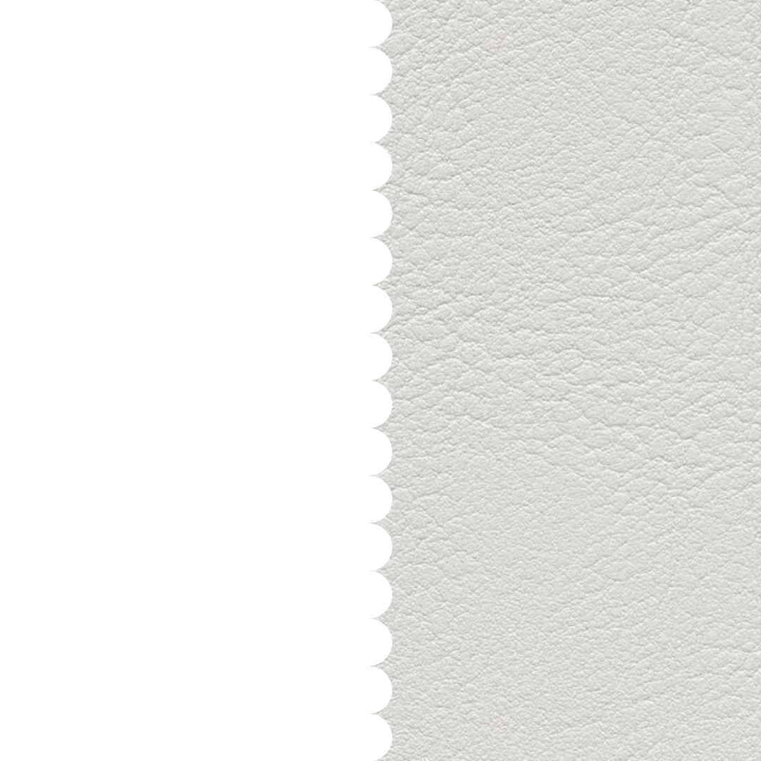 skai® Evida lightgrey F6800030