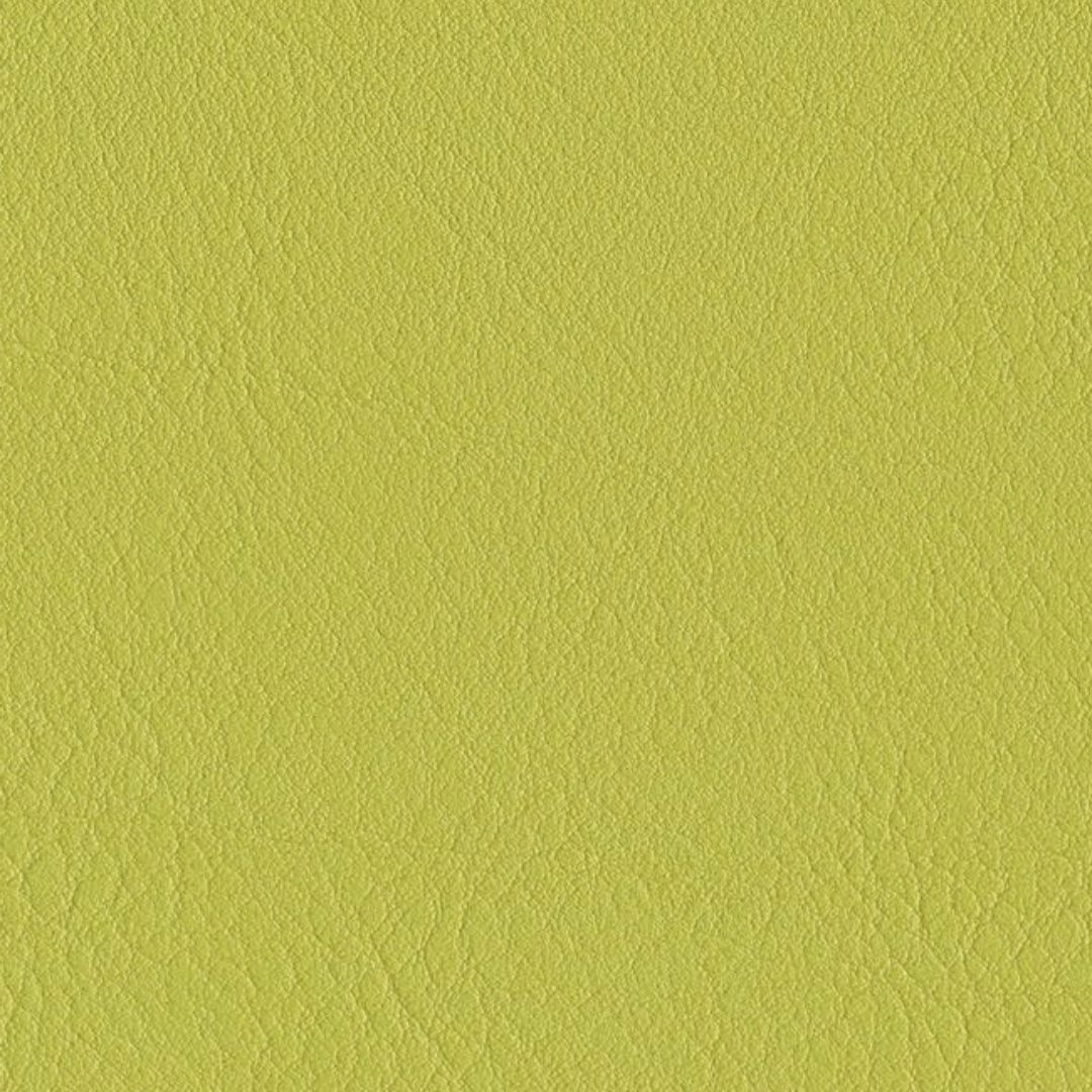 skai® Evida lime F6800027