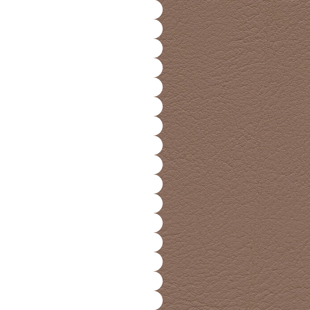 skai® Evida smoke F6800042