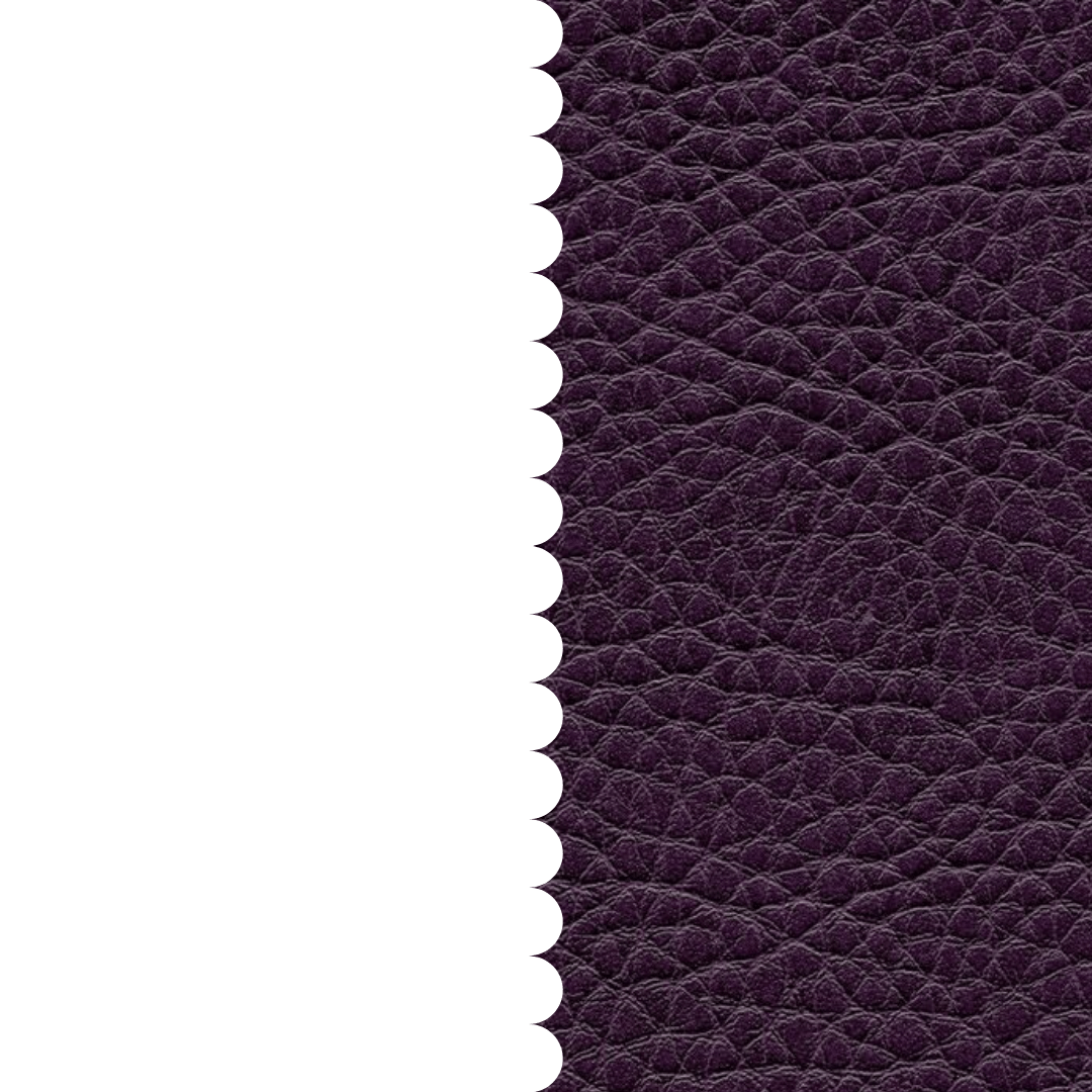 skai® Parotega NF amethyst F6461664