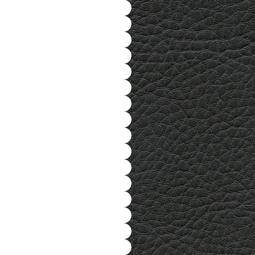 skai® Parotega NF anthrazit F6461663