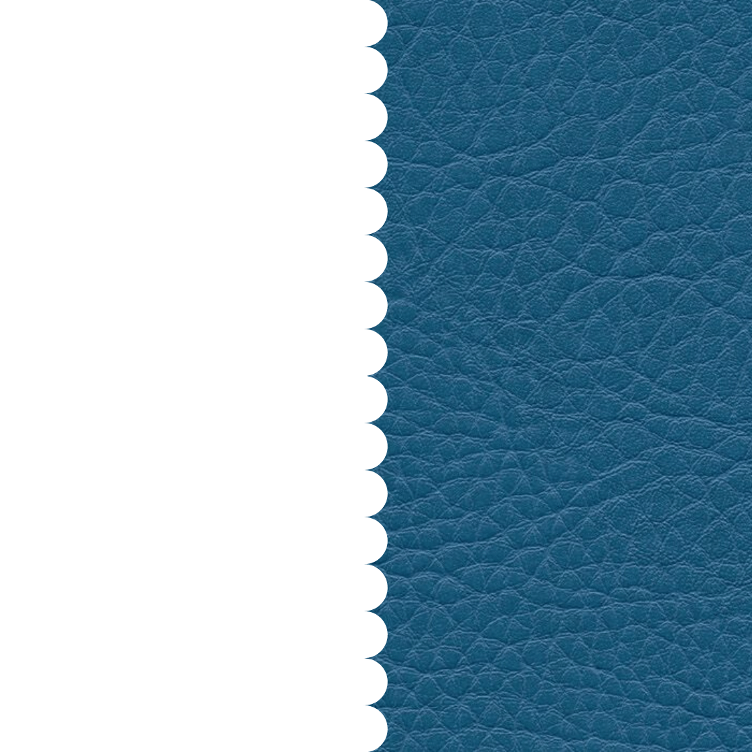 skai® Parotega NF aqua F6461709