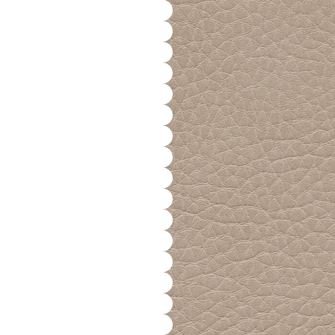 skai® Parotega NF birke F6461661