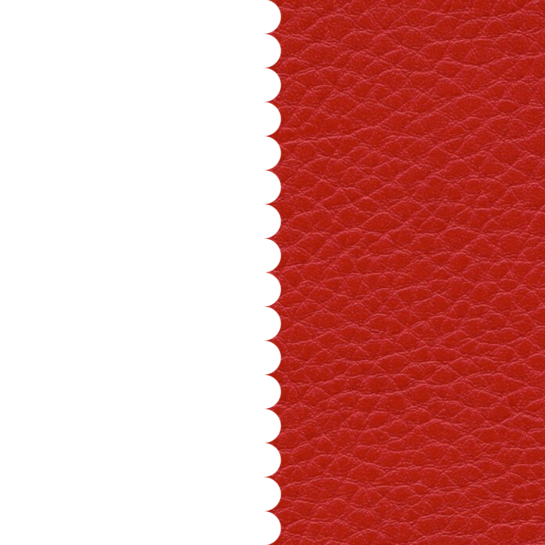 skai® Parotega NF feuer F6461707