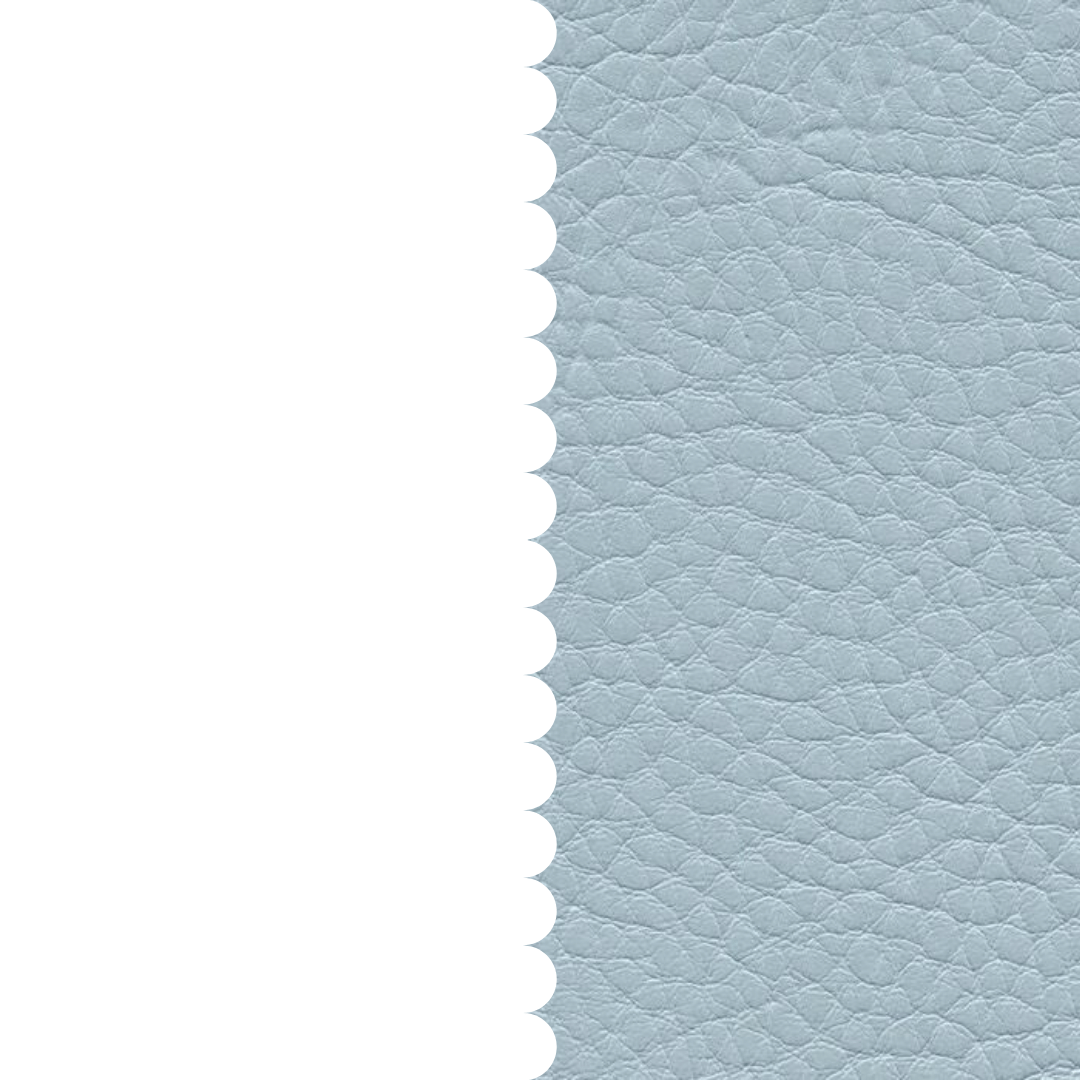 skai® Parotega NF gletscher F6461708