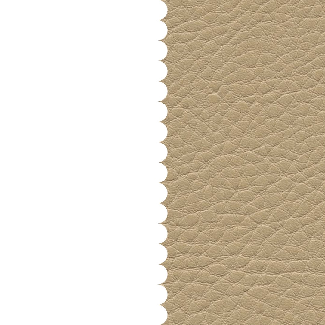 skai® Parotega NF kiesel F6461653