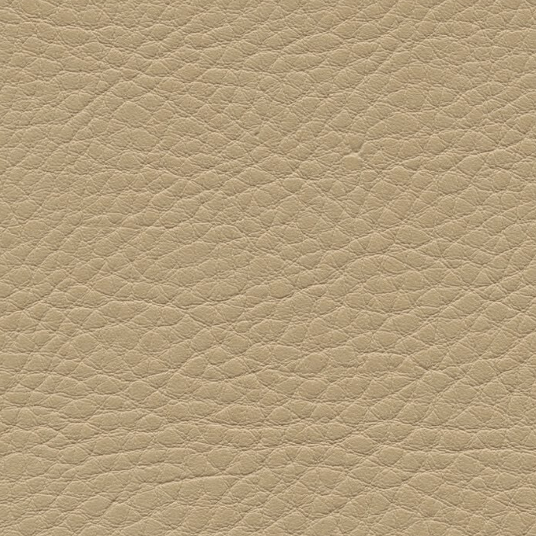 skai® Parotega NF kiesel F6461653