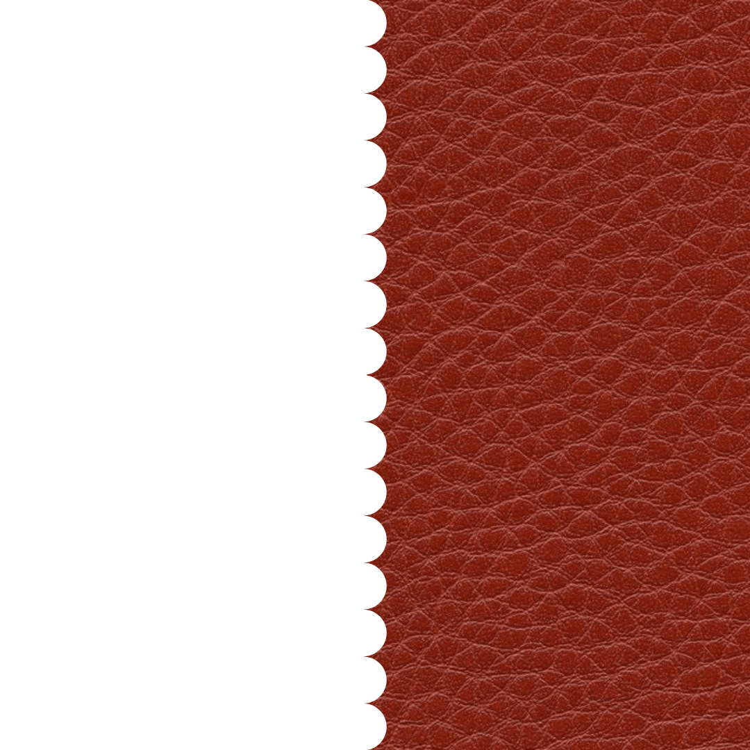 skai® Parotega NF lachs F6461702