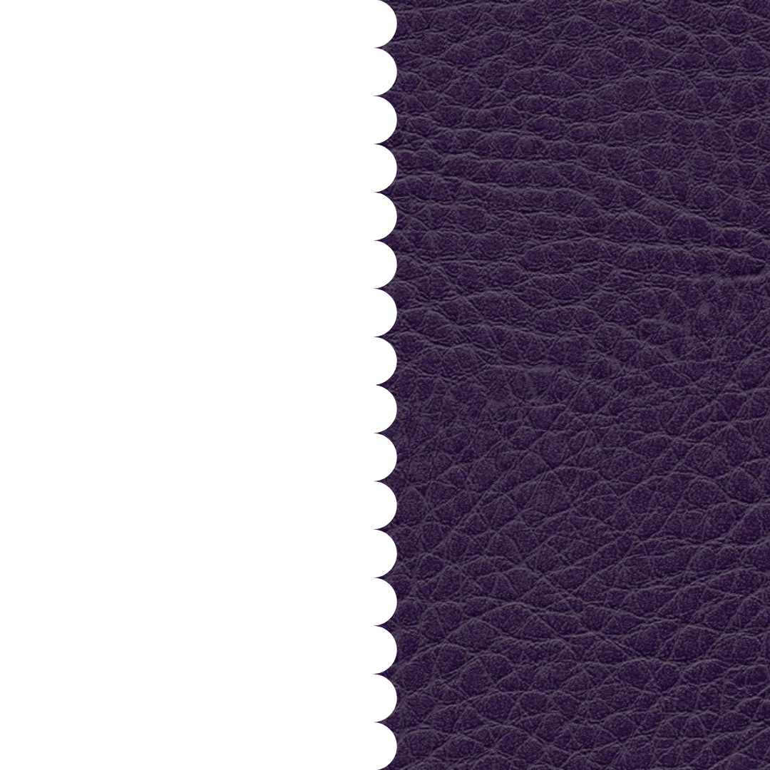skai® Parotega NF lila F6461736