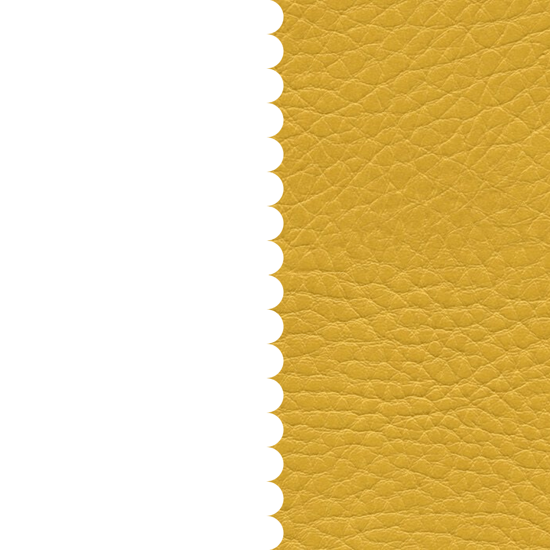 skai® Parotega NF mais F6461706