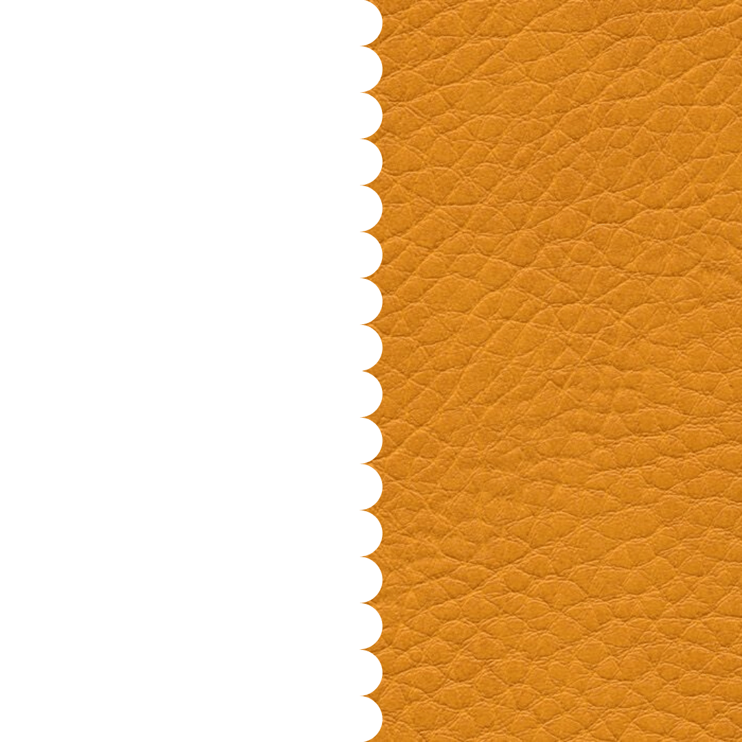skai® Parotega NF mango F6461666