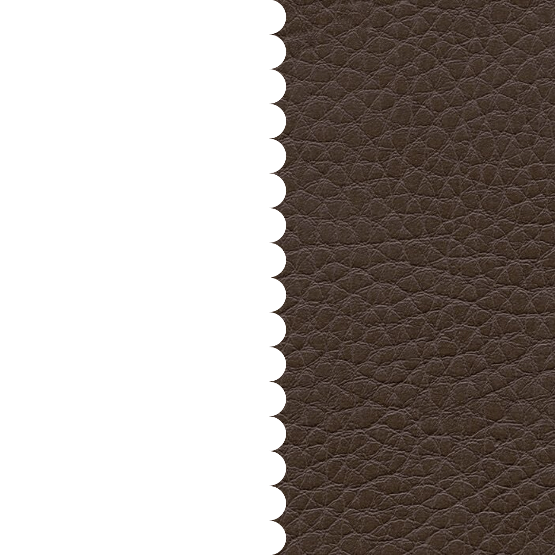 skai® Parotega NF olivbraun F6461704