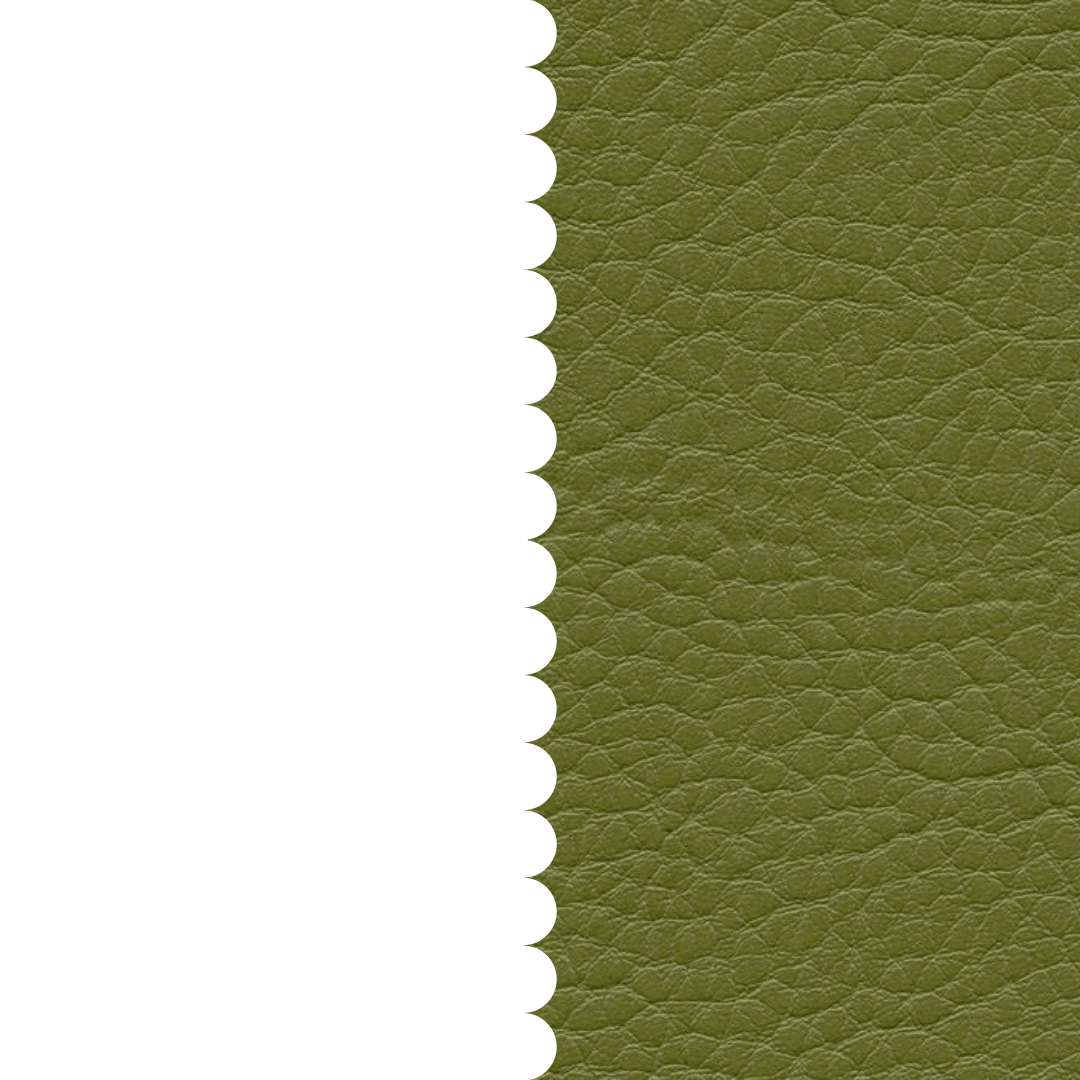 skai® Parotega NF olivgrün F6461705