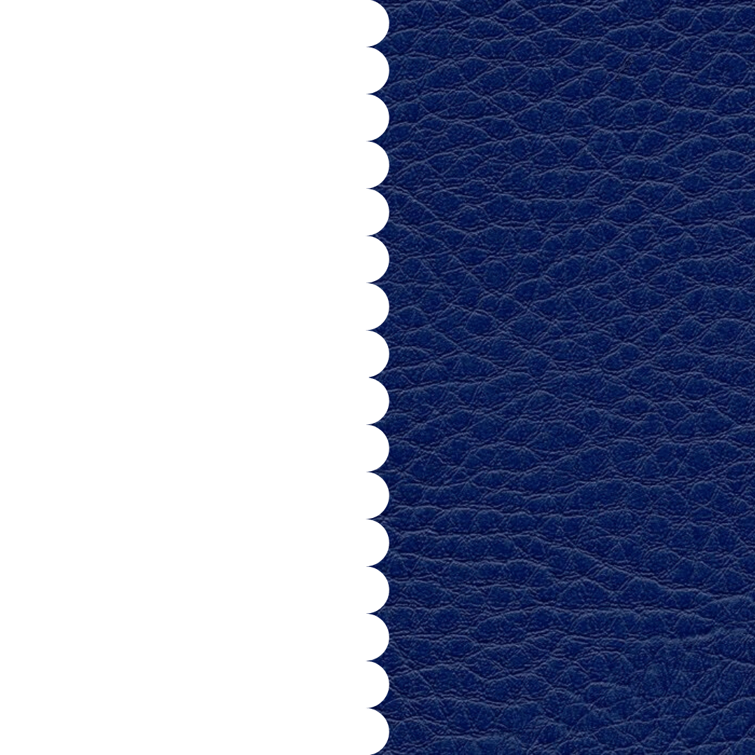 skai® Parotega NF royal F6461710