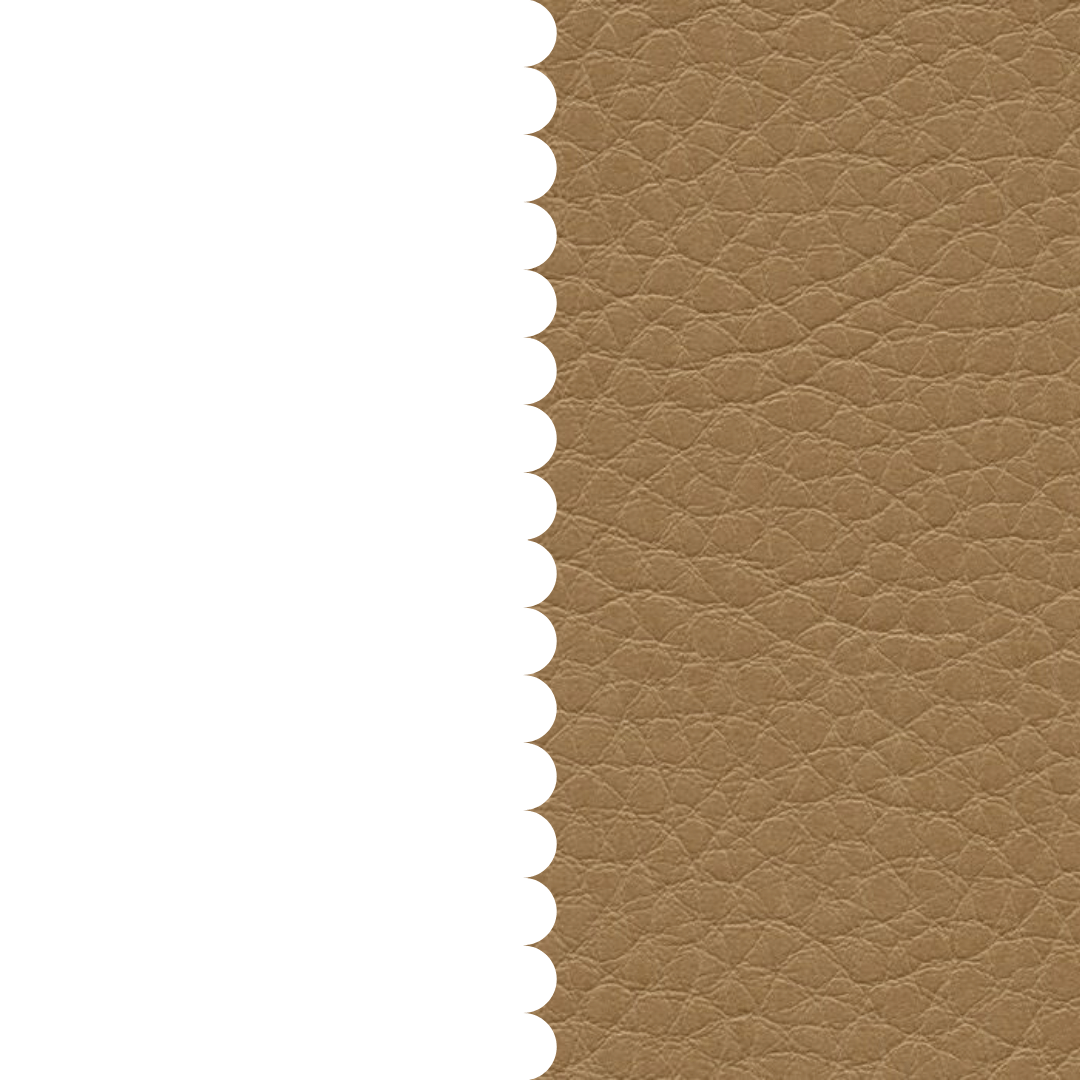 skai® Parotega NF sattel F6461733