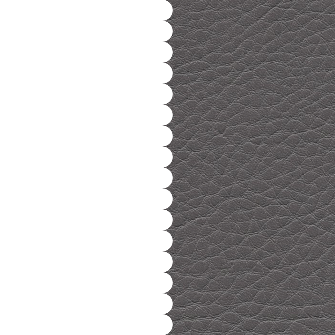 skai® Parotega NF schiefergrau F6461731