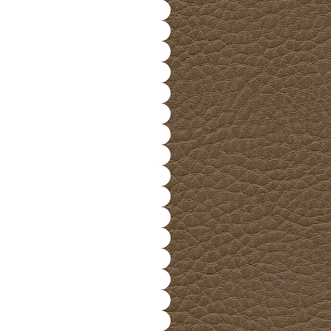 skai® Parotega NF smoke F6461660