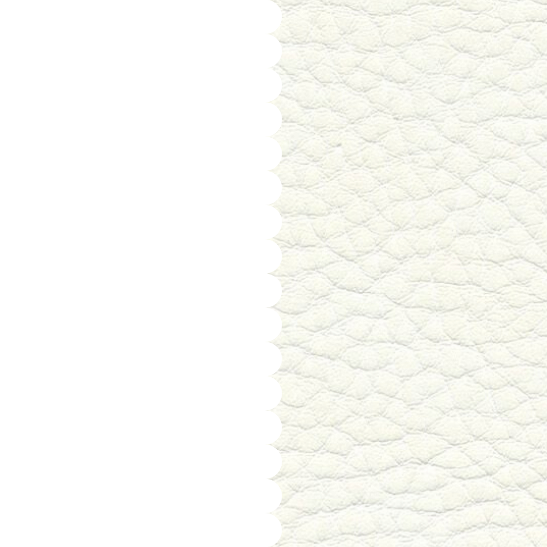 skai® Parotega NF weiss F6461652