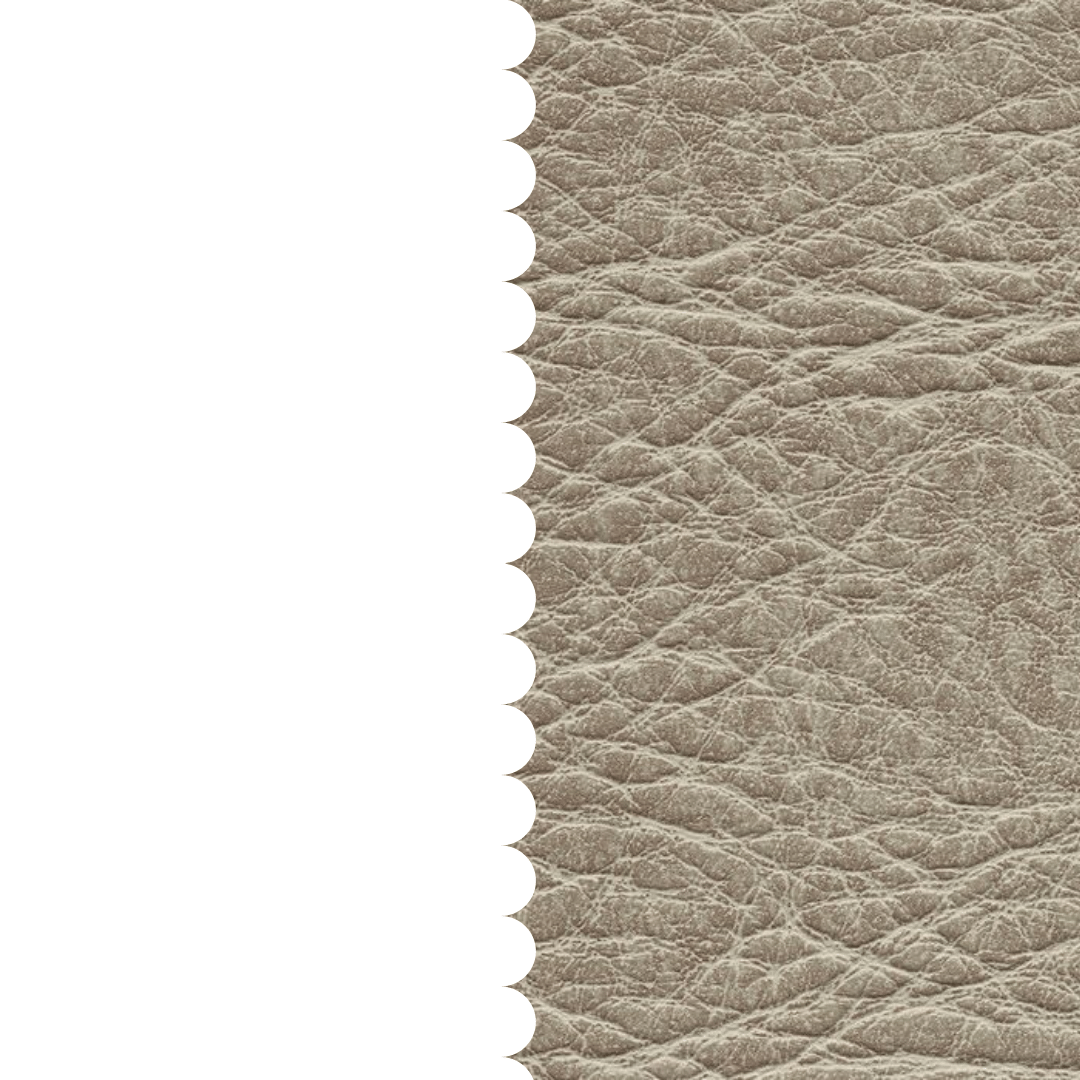 skai® Pavinto birch F6411182