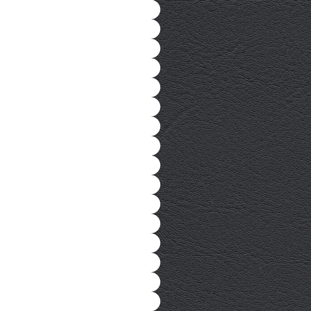 skai® Tundra anthrazit F6461197