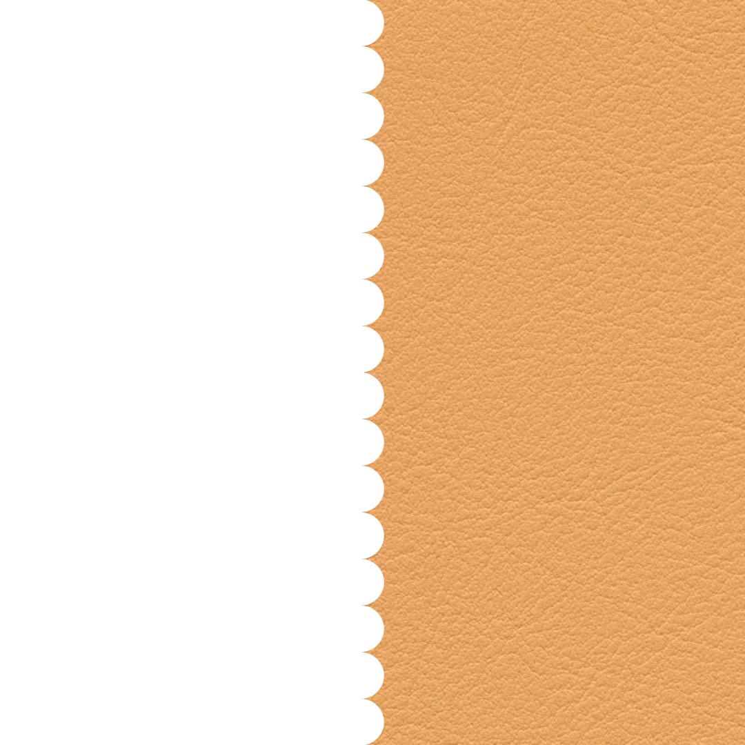 skai® Tundra apricot F6461458