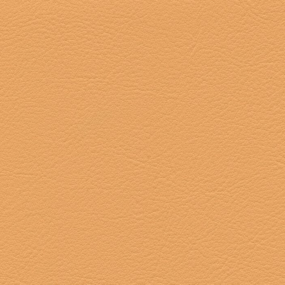 skai® Tundra apricot F6461458