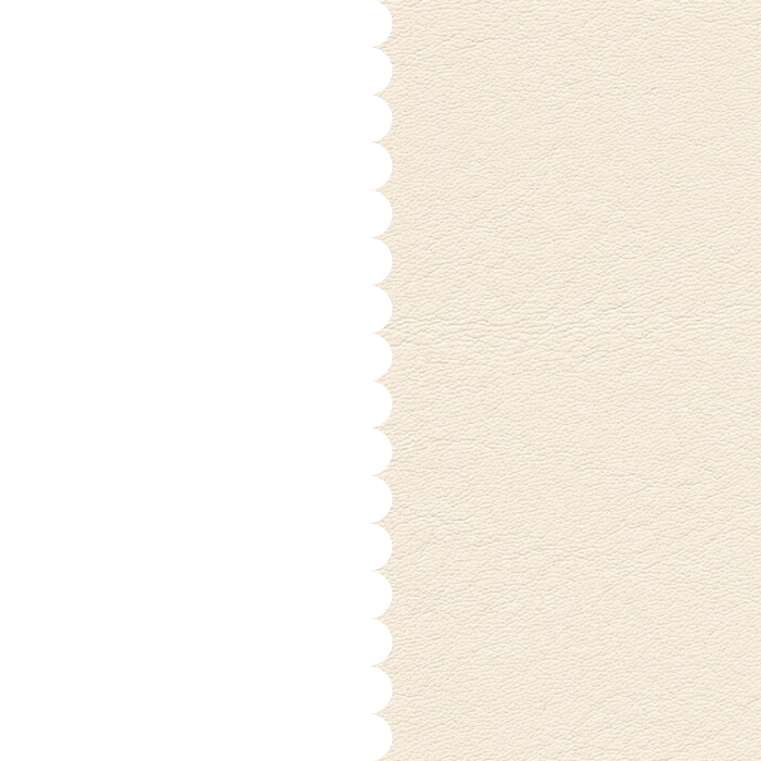 skai® Tundra beige F6461636