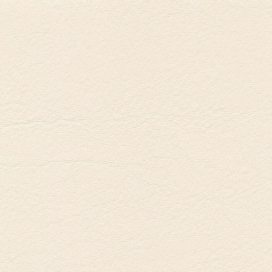 skai® Tundra beige F6461636