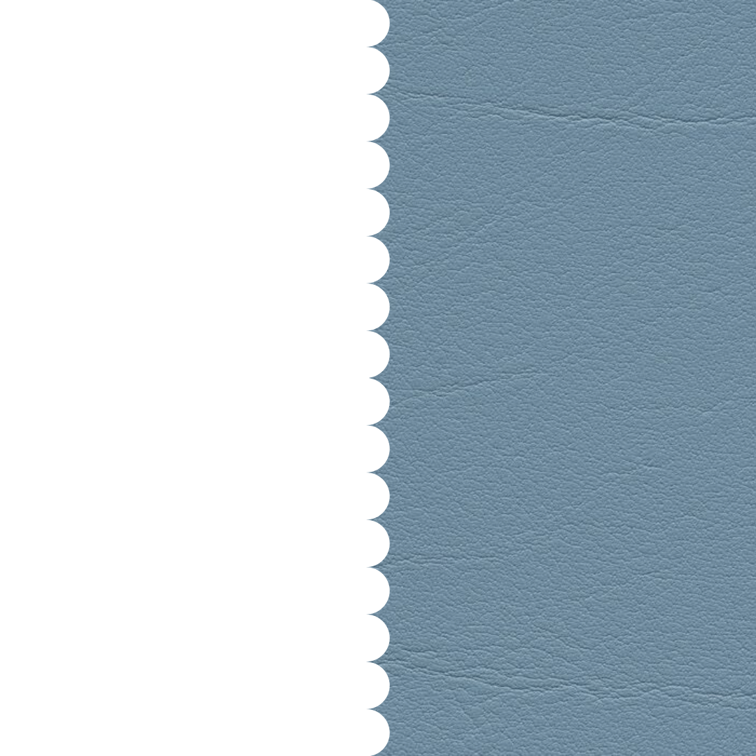 skai® Tundra bleu F6461496