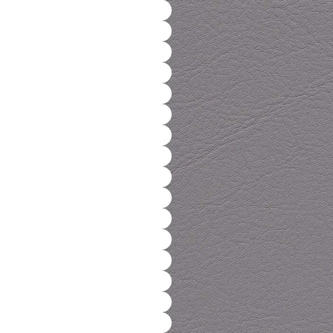 skai® Tundra chrom F6461205