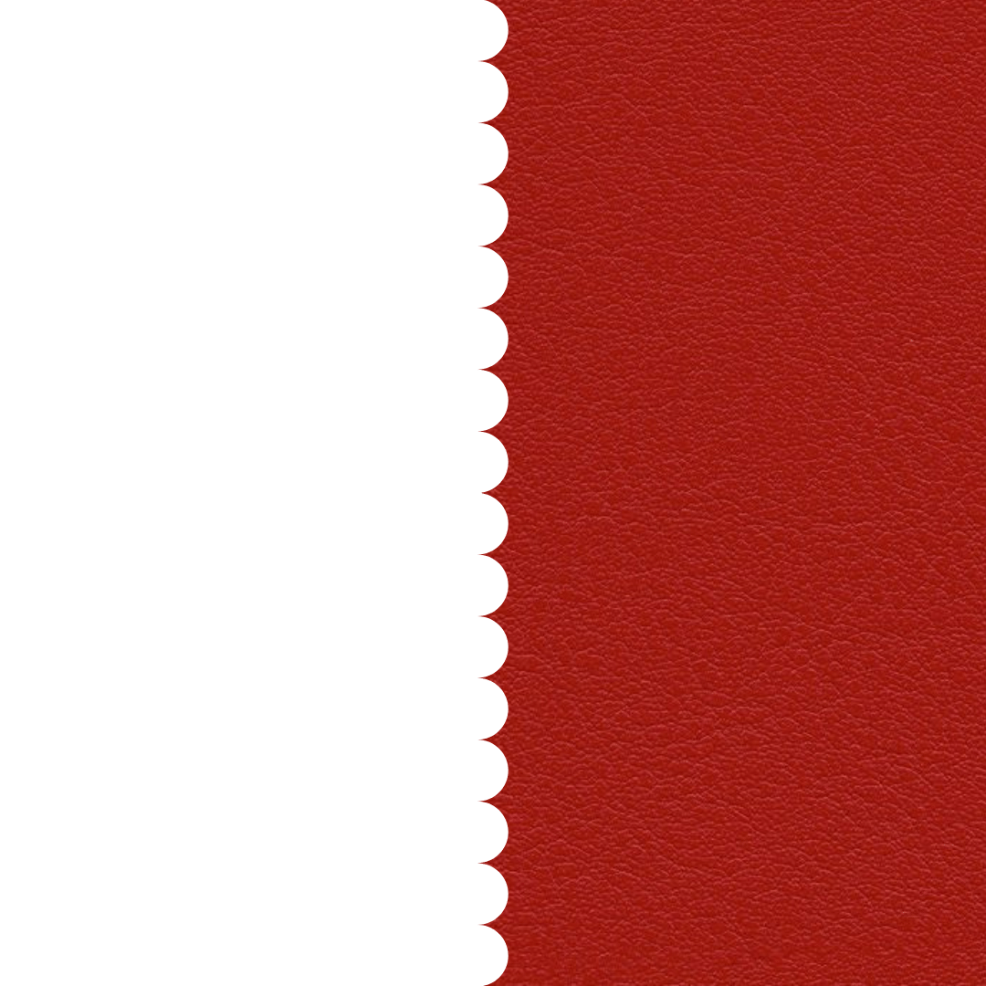 skai® Tundra feuer F6461454