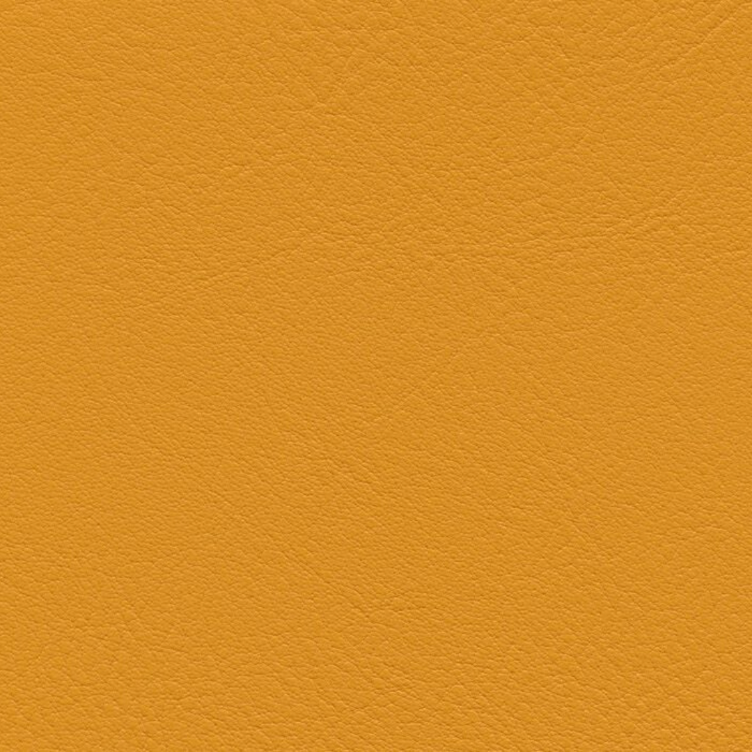 skai® Tundra mango F6461607