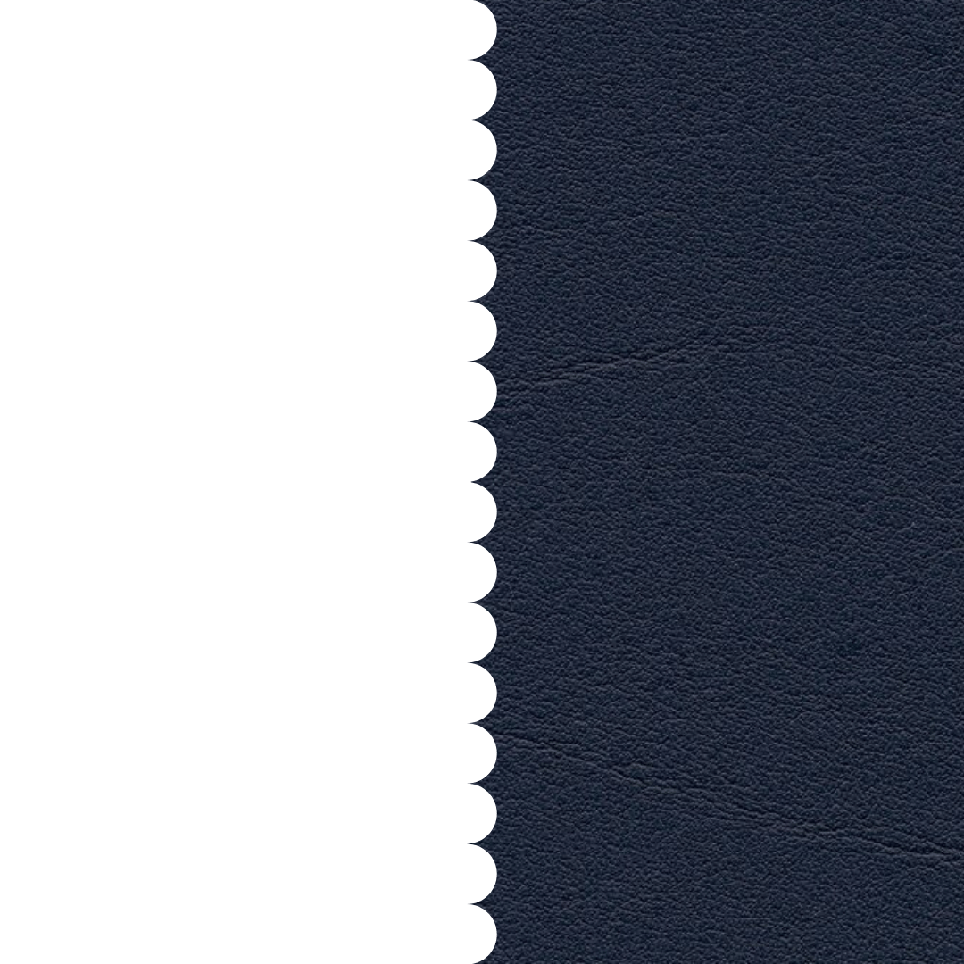skai® Tundra ocean F6461204