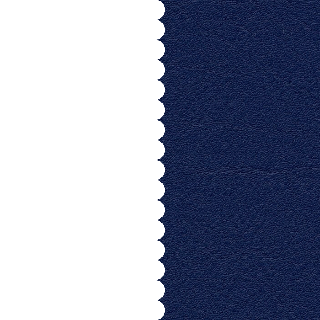 skai® Tundra royal F6461196