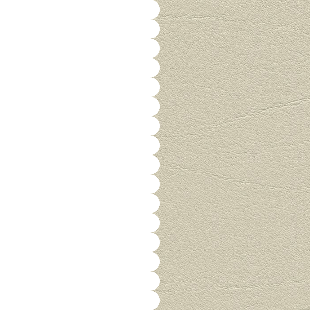 skai® Tundra sand F6461230