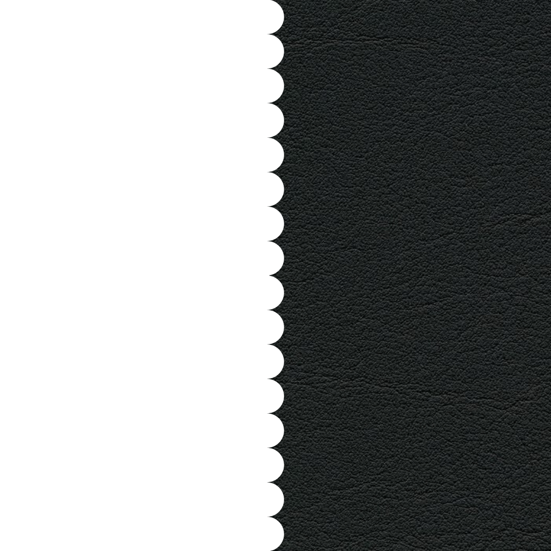 skai® Tundra schwarz F6461195