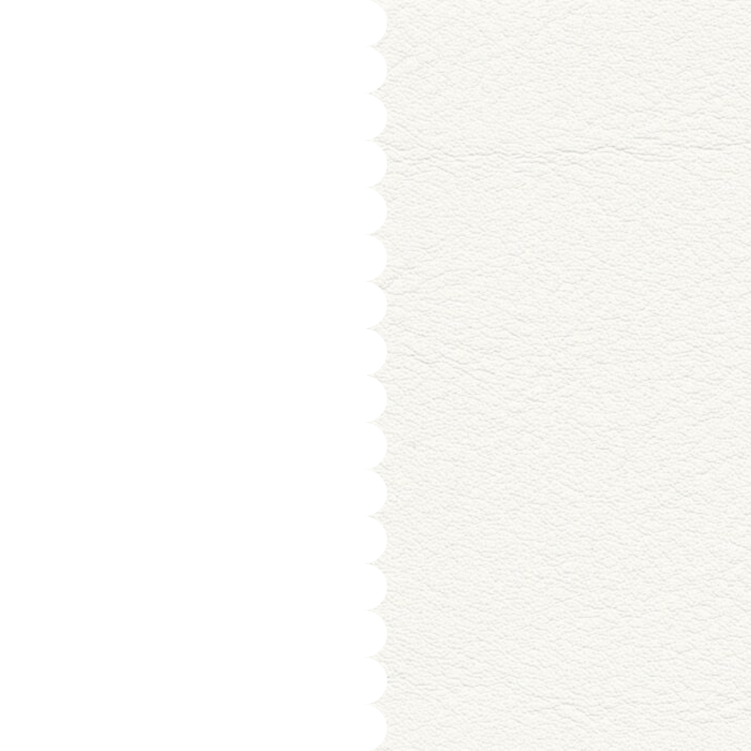 skai® Tundra weiß F6461198