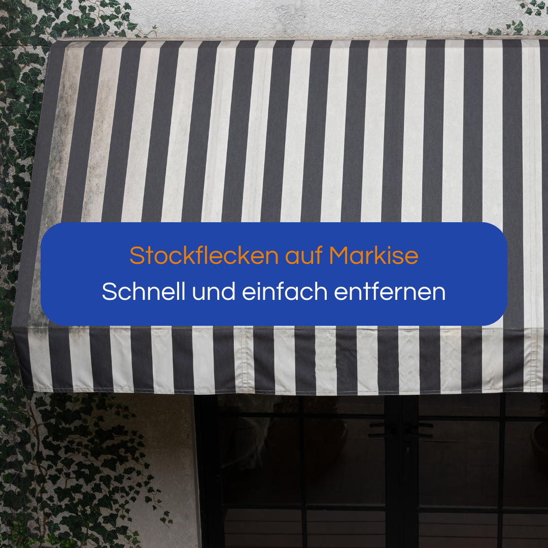 Stockflecken entfernen Markise: Ultimative Anleitung mit Tento Clean & Schimmalgin Spezial