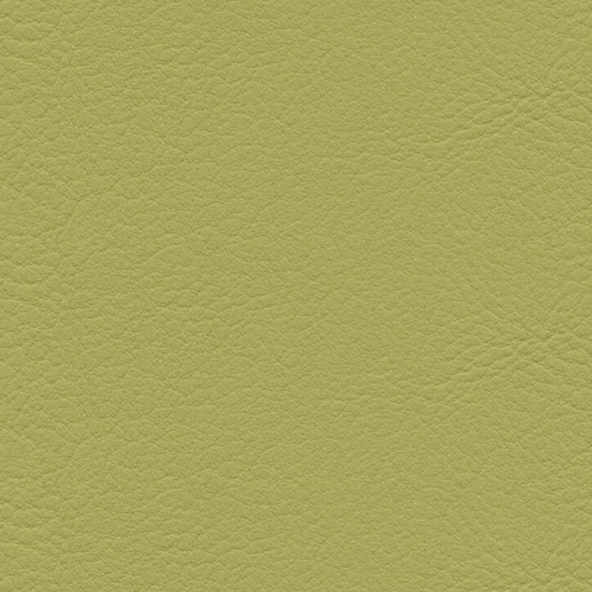 skai® Evida olivegreen F6800080
