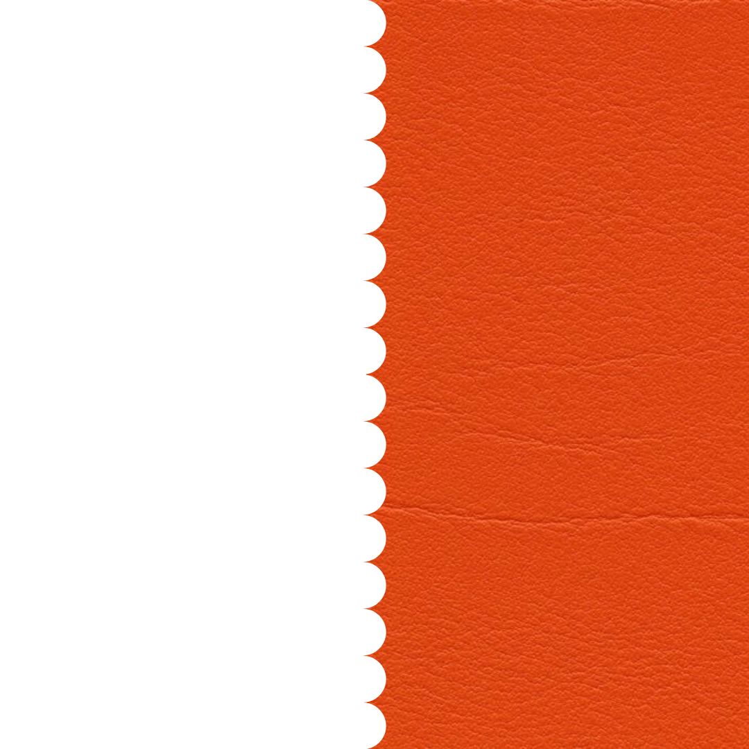 skai® Tundra orange F6461556