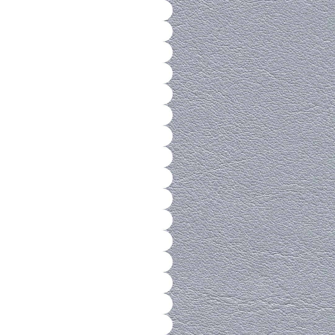 skai® Tundra silber F6461550