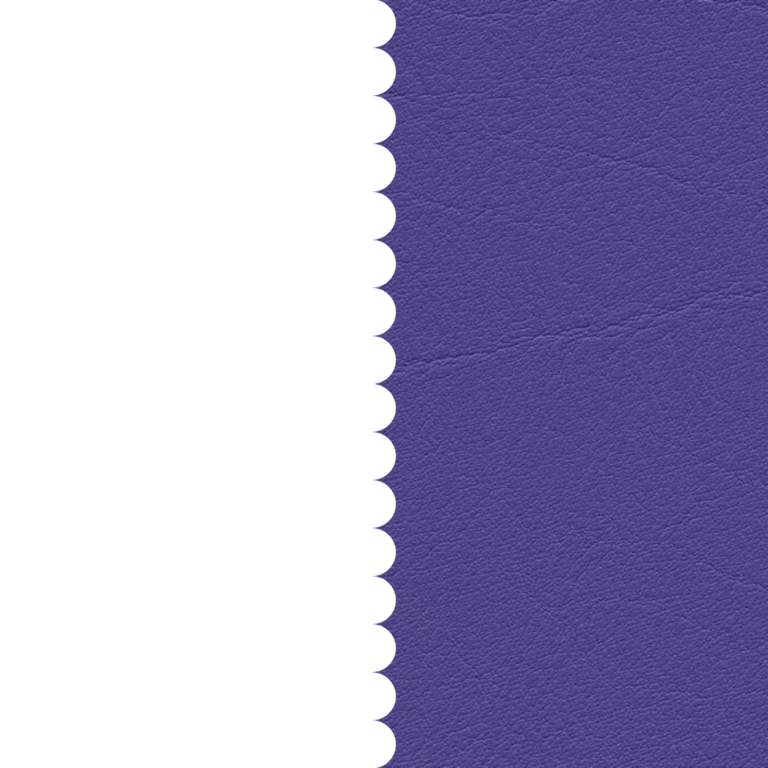 skai® Tundra violett F6461356